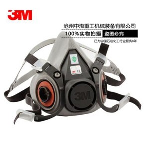 雙罐式面罩6200#